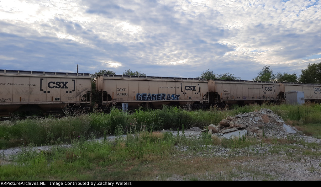 CSX 261686